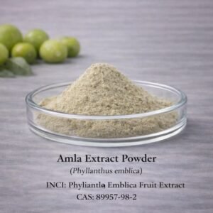 Amla Extract Powder