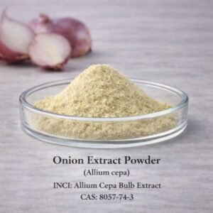 Onion Extract Powder
