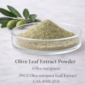 Olive Leaf Extract Powder