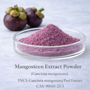 Mangosteen Extract Powder