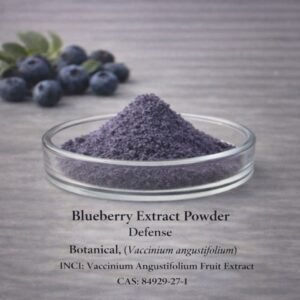 Blueberry Extract Powder