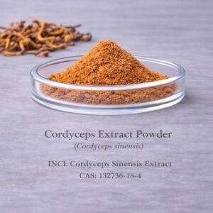 Cordyceps Extract Powder