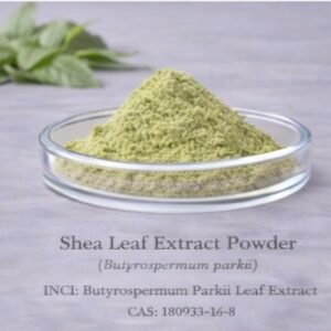 Shea Leaf Extract Powder