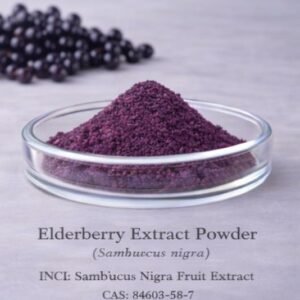 Elderberry Extract Powder
