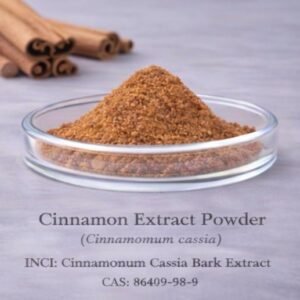 Cinnamon Extract Powder