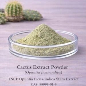 Cactus Extract Powder