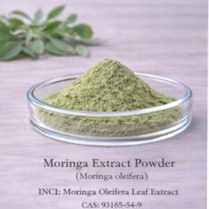 Moringa Extract Powder