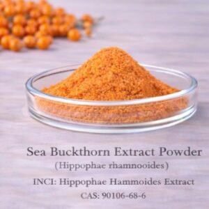Sea Buckthorn Extract Powder