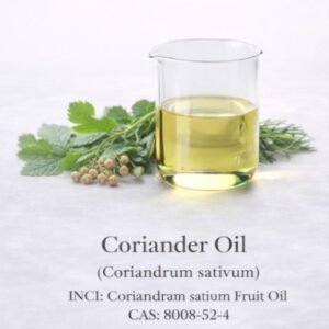Coriander Oil