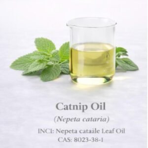Catnip Oil