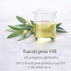 Eucalyptus Oil