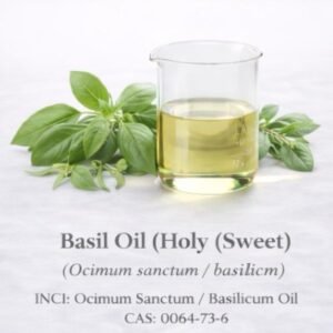 Basil Oil (Holy / Sweet)
