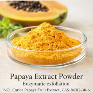 Papaya Extract Powder