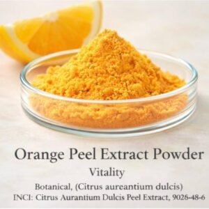 Orange Peel Extract Powder