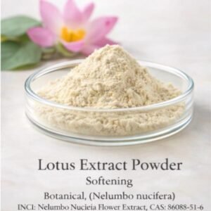 Lotus Extract Powder