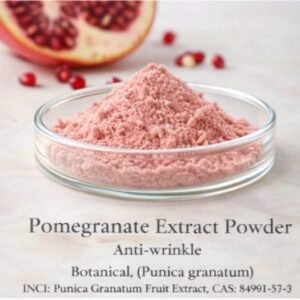 Pomegranate Extract Powder