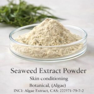Seaweed Extract Powder