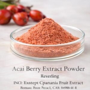 Acai Berry Extract Powder