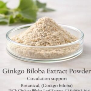 Ginkgo Biloba Extract Powder
