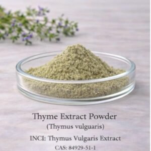 Thyme Extract Powder