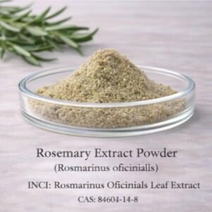Rosemary Extract Powder