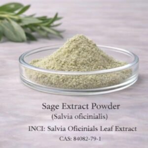 Sage Extract Powder