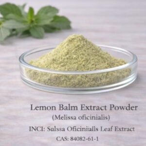 Lemon Balm Extract Powder