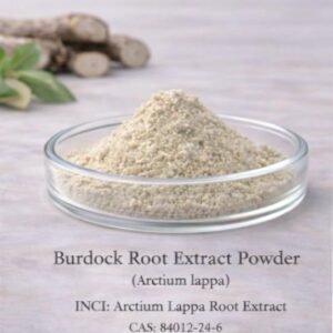 Burdock Root Extract Powder