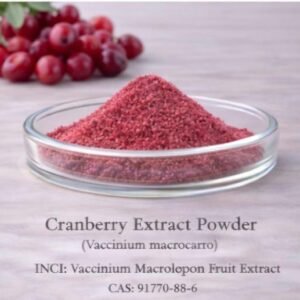 Cranberry Extract Powder