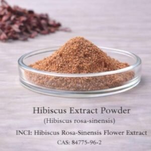 Hibiscus Extract Powder