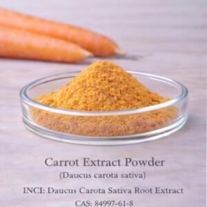 Carrot Extract Powder