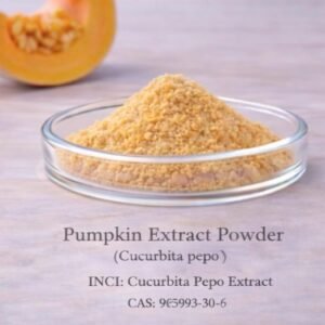 Pumpkin Extract Powder