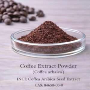 Coffee Extract Powder