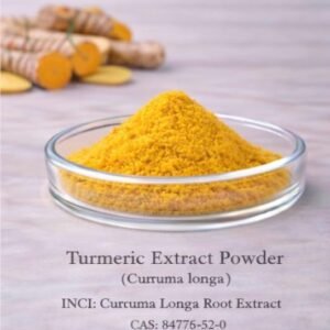 Turmeric Extract Powder