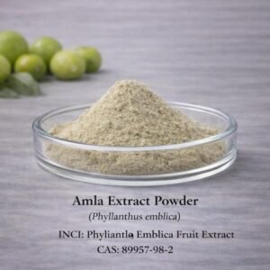 Amla Extract Powder