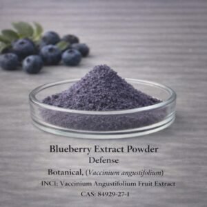 Blueberry Extract Powder