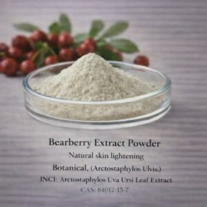 Bearberry Extract Powder