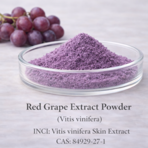 Red Grape Extract Powder